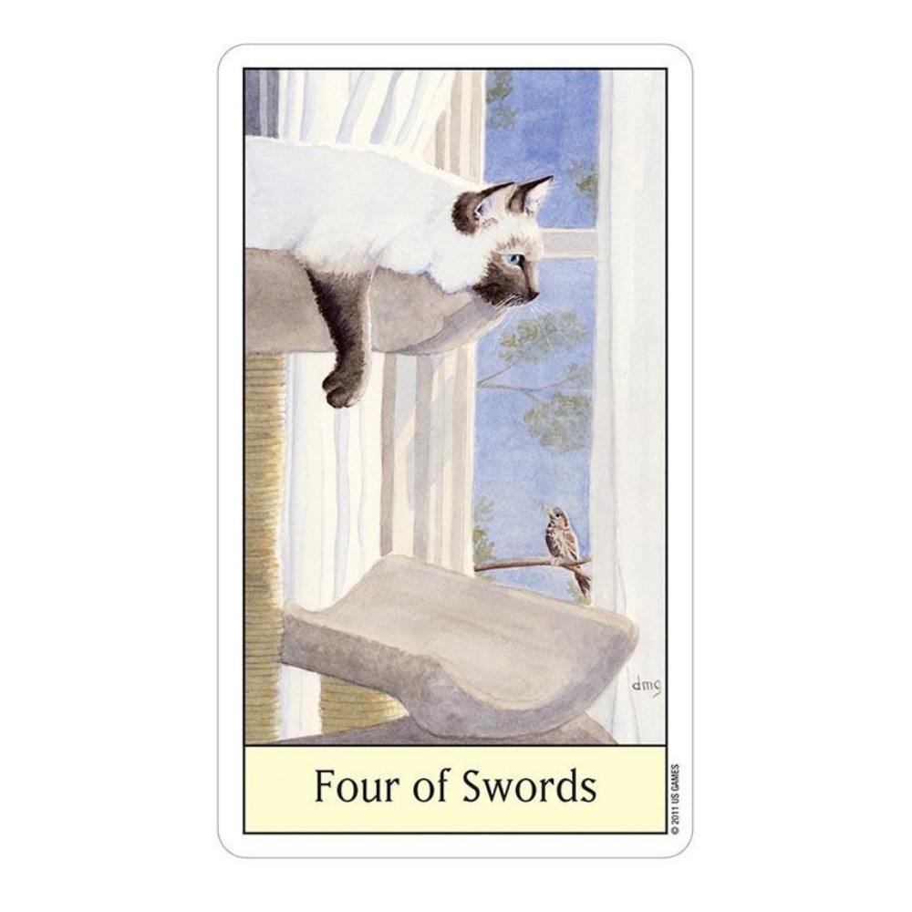 Tarot Deck With Guidebook - ألعاب بطاقات التاروت لعيون القطط ،