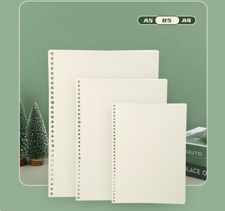A5 B5 خط شبكة 20 ثقوب فضفاضة و - مراجعة A5 Spiral Dotted Grid Notebook وسعره