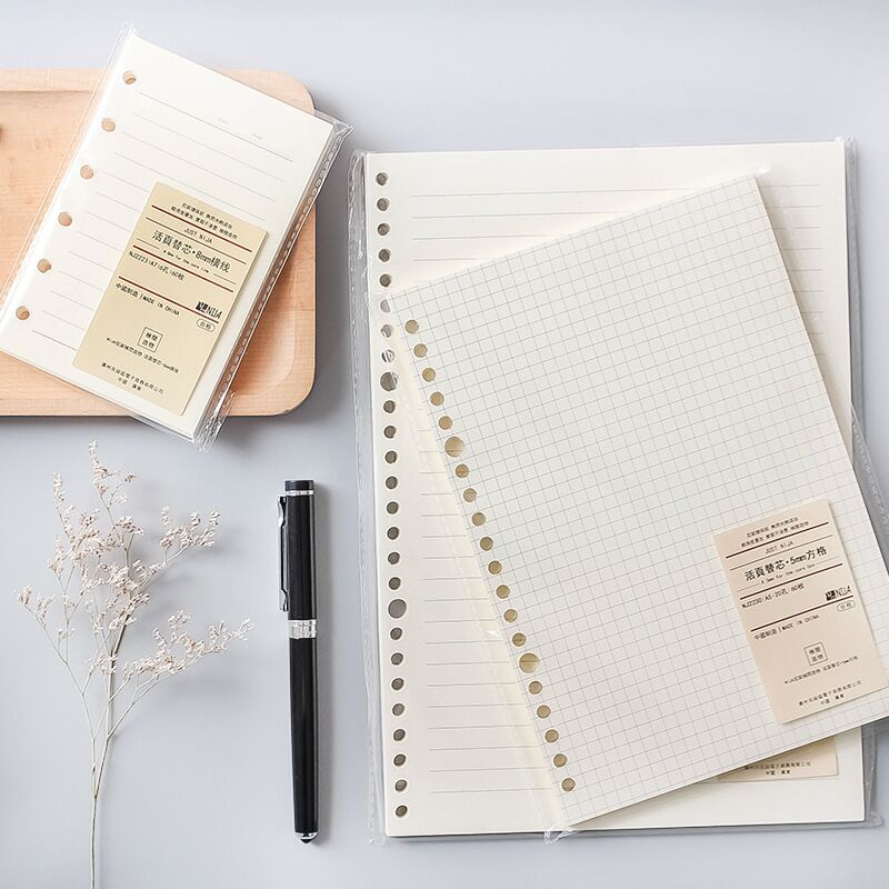 A5 B5 20 ثقوب دفتر ملاحظات ذو  - مراجعة A5 Spiral Dotted Grid Notebook وسعره